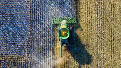 Crops being harvested by machine