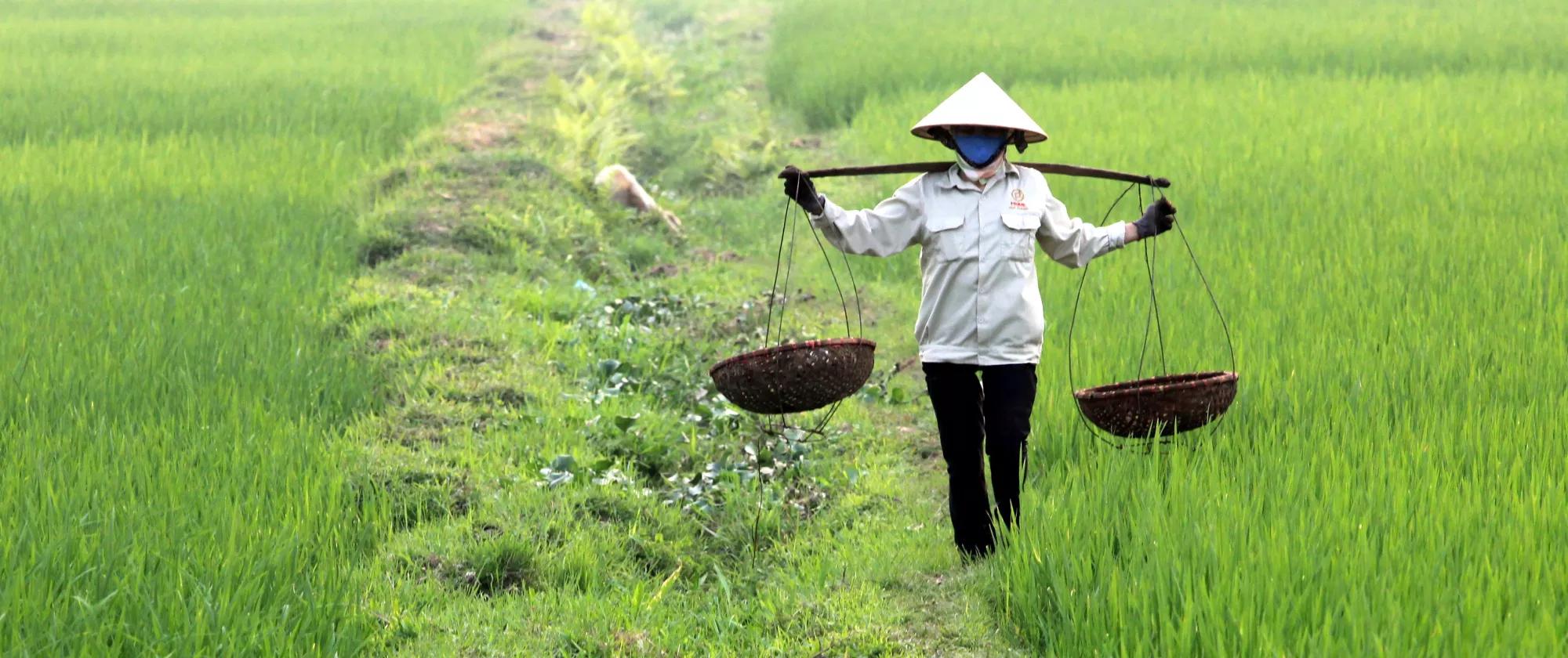 Vietnamese farmer